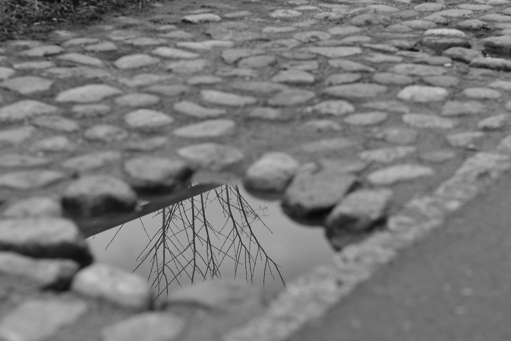 2020-01-11 Vilnius/DSC_3018.JPG